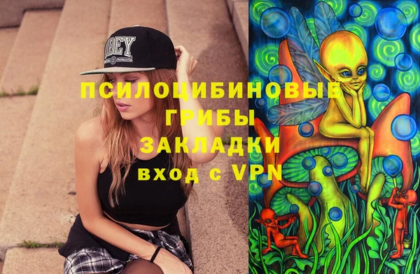 марки lsd Гусиноозёрск