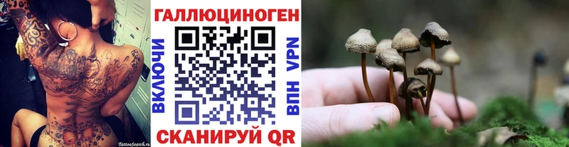 Галлюциногенные грибы GOLDEN TEACHER  Бакал 